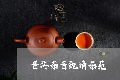 普洱茶普甄情茶苑/2023112694027