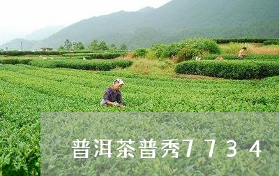 普洱茶普秀7734/2023091498161