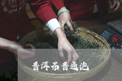 普洱茶普通泡/2023042863550