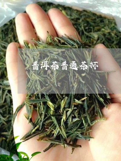 普洱茶普通茶杯/2023070966258