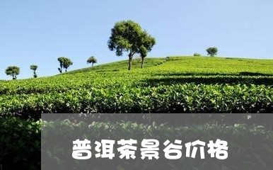 普洱茶景谷价格/2023101641535