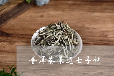 普洱茶景迈七子饼/2023112601527