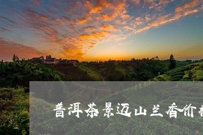 普洱茶景迈山兰香价格/2023093099394