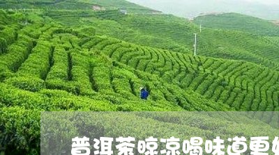 普洱茶晾凉喝味道更好/2023080149604