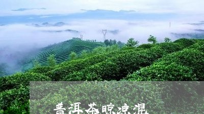 普洱茶晾凉混/2023042628955