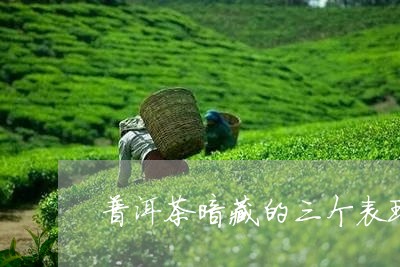 普洱茶暗藏的三个表现/2023092929304