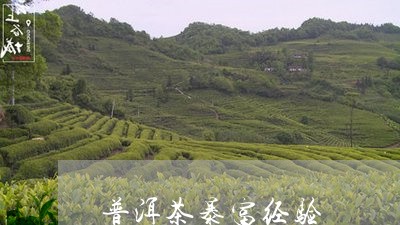 普洱茶暴富经验/2023112654049