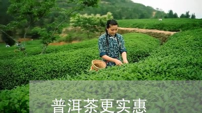 普洱茶更实惠/2023042676245