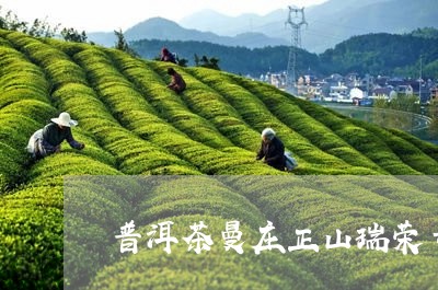 普洱茶曼庄正山瑞荣号/2023072182048