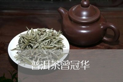 普洱茶曾冠华/2023042598885