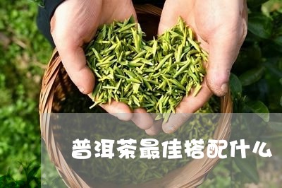 普洱茶最佳搭配什么/2023070849369