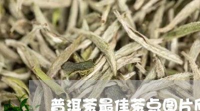 普洱茶最佳茶点图片欣赏/2023110451585