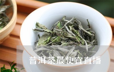 普洱茶最便宜直播/2023101649694