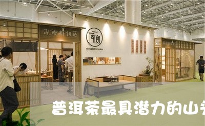 普洱茶最具潜力的山头/2023120608168