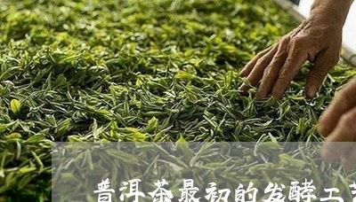 普洱茶最初的发酵工艺/2023062577250