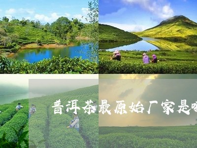 普洱茶最原始厂家是哪里/2023112764847