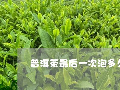 普洱茶最后一次泡多久/2023092925958