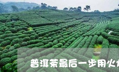 普洱茶最后一步用火烧/2023092720692