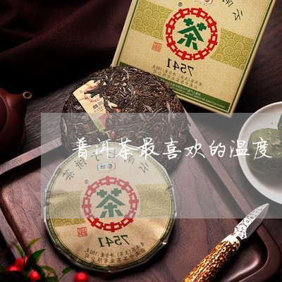 普洱茶最喜欢的温度/2023091573894