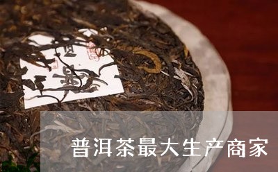 普洱茶最大生产商家/2023071016159