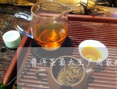 普洱茶最大生产商家排名/2023050431071