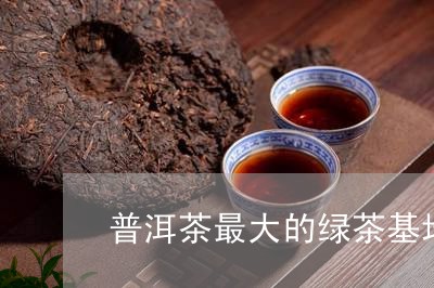 普洱茶最大的绿茶基地/2023100837271