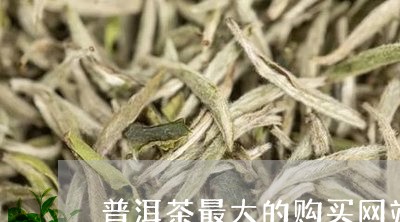 普洱茶最大的购买网站/2023100638825