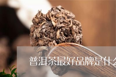 普洱茶最好品牌是什么/2023080294936