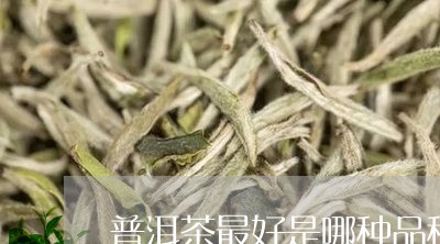 普洱茶最好是哪种品种好/2023101715370