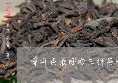 普洱茶最好的三种茶叶品种/2023083092626