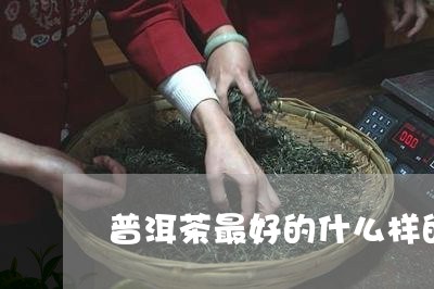 普洱茶最好的什么样的普洱茶比较好/2023060341603