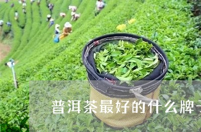 普洱茶最好的什么牌子好/2023050638606