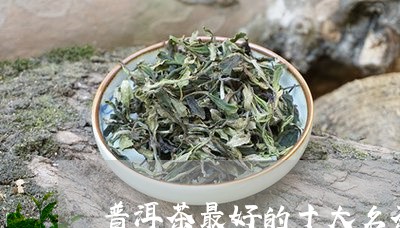 普洱茶最好的十大名茶/2023092668390