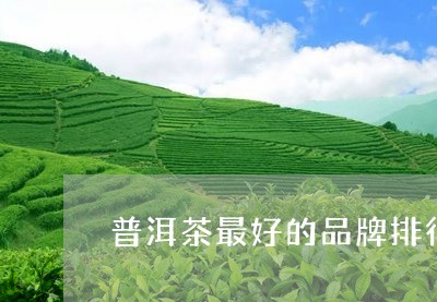 普洱茶最好的品牌排行榜图片/2023052829693