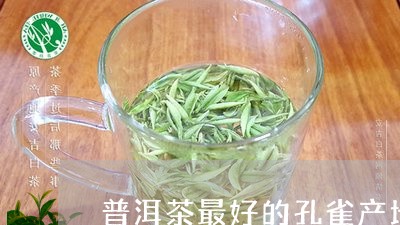 普洱茶最好的孔雀产地在哪里/2023052971625