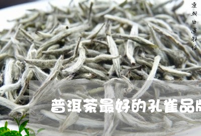 普洱茶最好的孔雀品牌/2023110330614