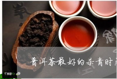 普洱茶最好的杀青时间/2023120654956