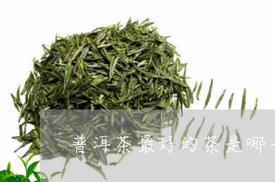 普洱茶最好的茶是哪一种/2023050502494