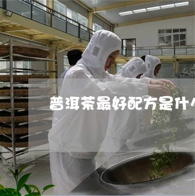 普洱茶最好配方是什么样的/2023110731603