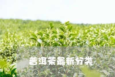 普洱茶最新分类/2023112563925