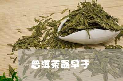 普洱茶最早于/2023091228480