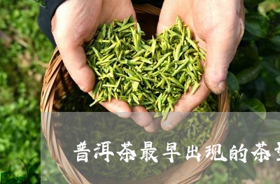 普洱茶最早出现的茶型/2023062420381