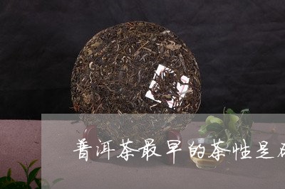 普洱茶最早的茶性是砖/2023092583735