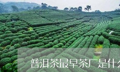 普洱茶最早茶厂是什么时候/2023121773947