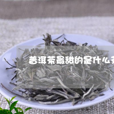 普洱茶最甜的是什么茶/2023100728490