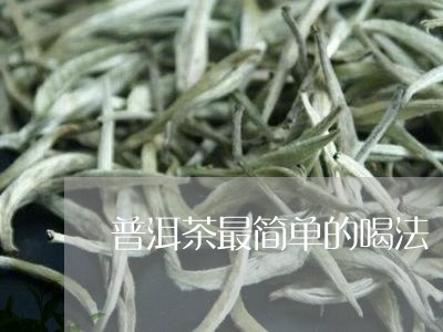 普洱茶最简单的喝法/2023120511795