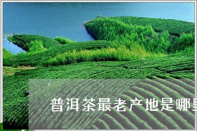 普洱茶最老产地是哪里山/2023083064837