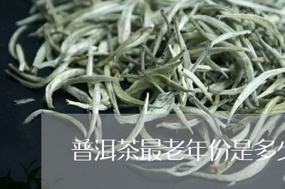 普洱茶最老年份是多少/2023120680494