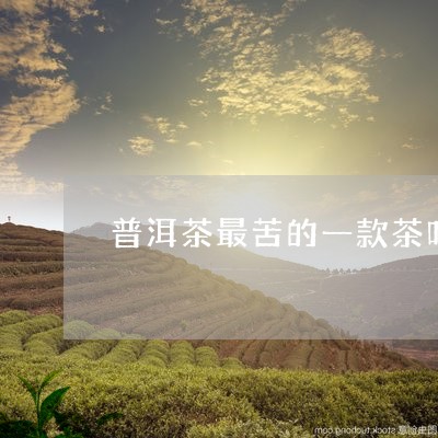 普洱茶最苦的一款茶叶是什么茶/2023082821595