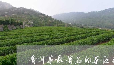 普洱茶最著名的茶区在哪里/2023112498381